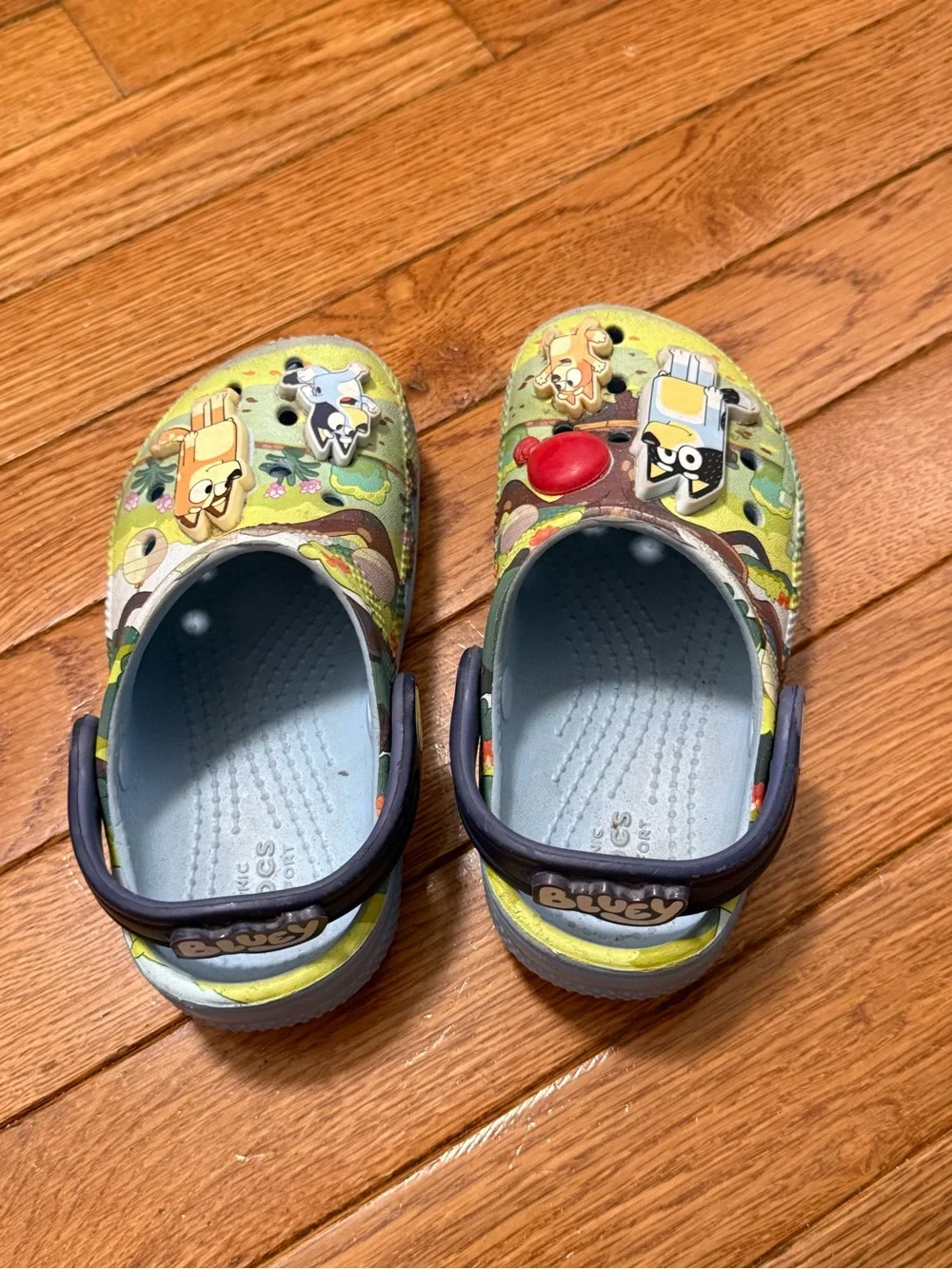 Bluey Cartoon Slip-On Clogs crocs C9